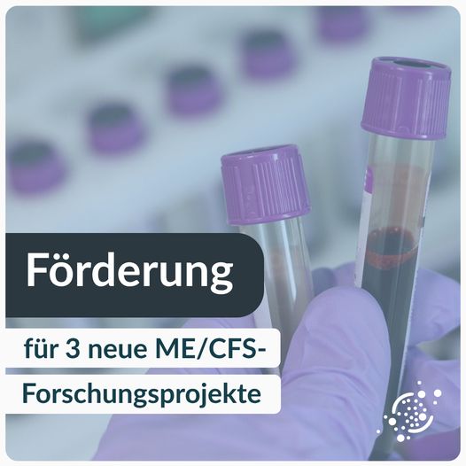 DGEM Foerderung