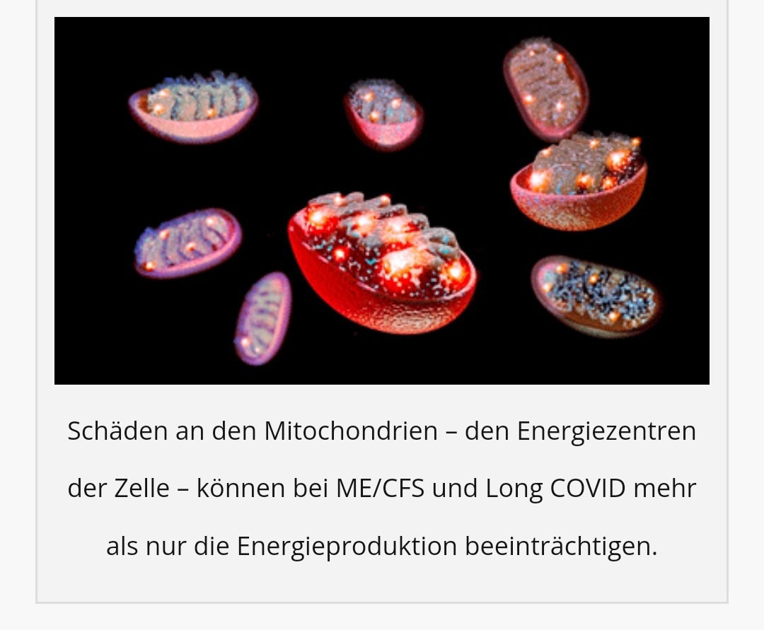 Healthrising Mitochondrien Part I