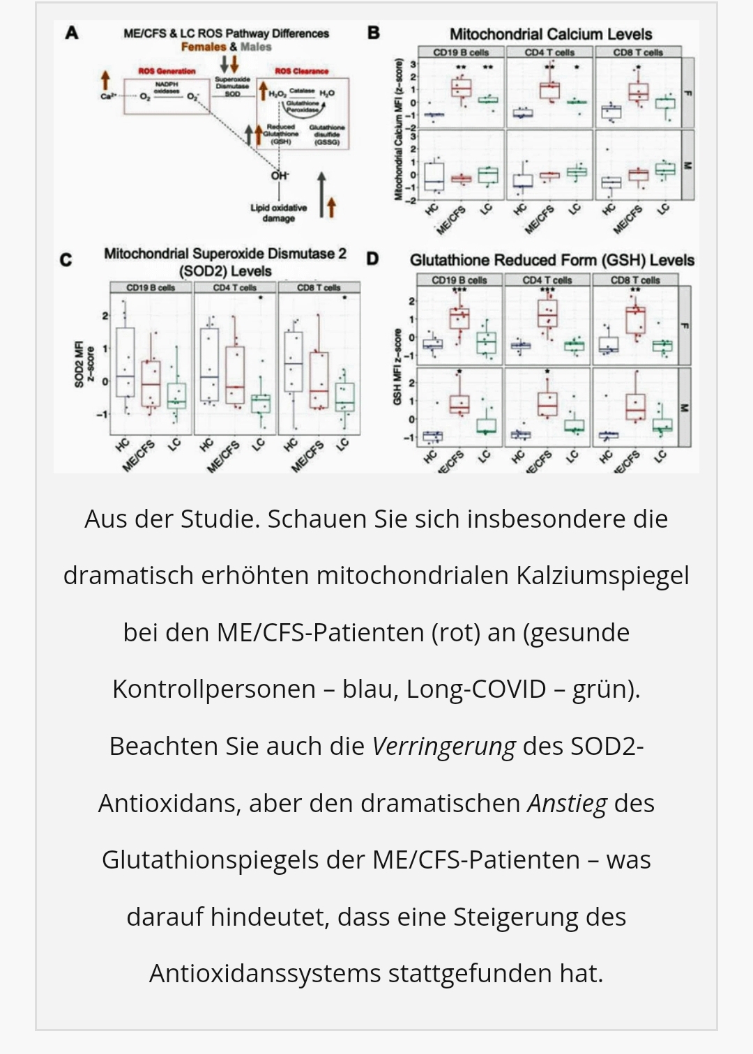 Oxidativer Stress Part II 2