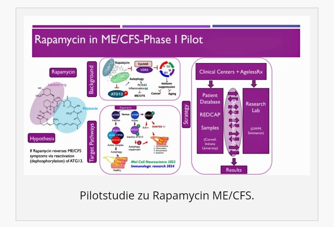 Healthrising Rapamycin