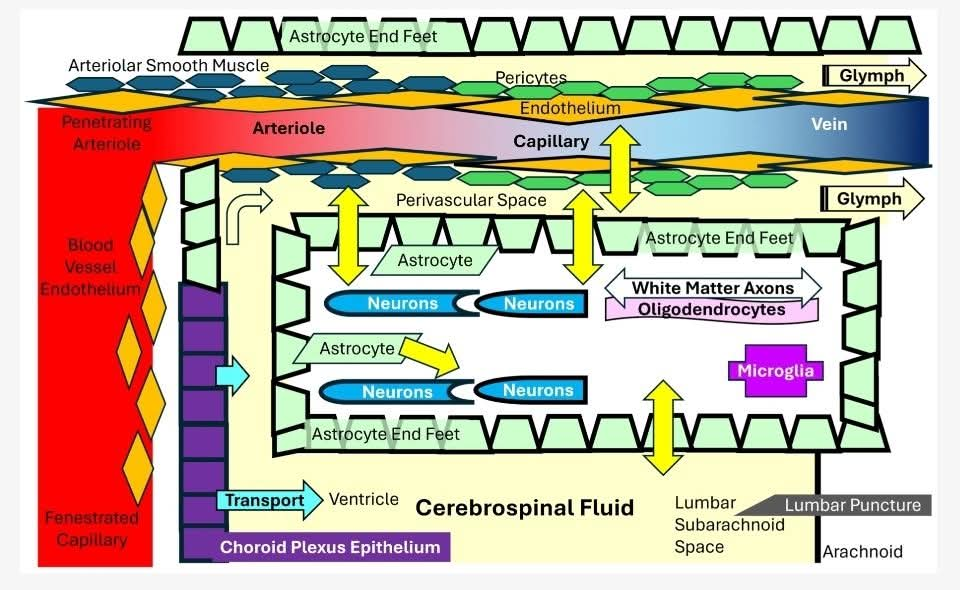 mdpi PEM