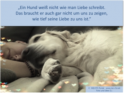 ME / CFS ...und warum unsere Tiere so wichtig für uns sind...