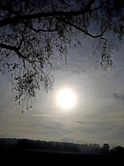 Leben mit schwerer und sehr schwerer ME/CFS