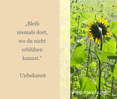 Man soll gehen, wenn es am schönsten ist oder um nur aus Stolz kein Ende zu sehen, es ist Zeit zu gehen.  